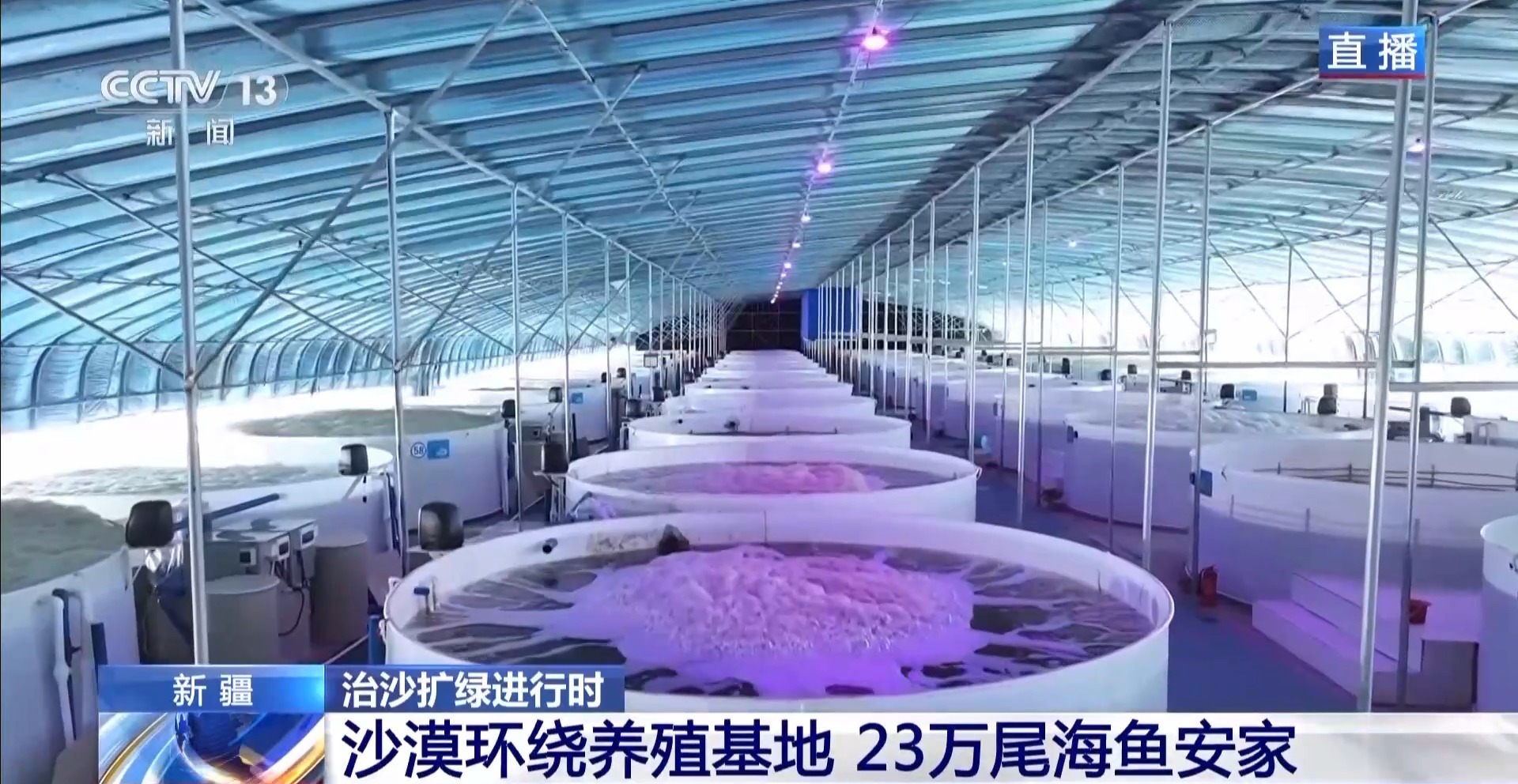 
南京市第一医院黄牛代挂号电话票贩子号贩子网上预约挂号,住院检查加快,视频丨沙漠里如何养海鲜？解锁塔克拉玛干沙漠的水产养殖密码