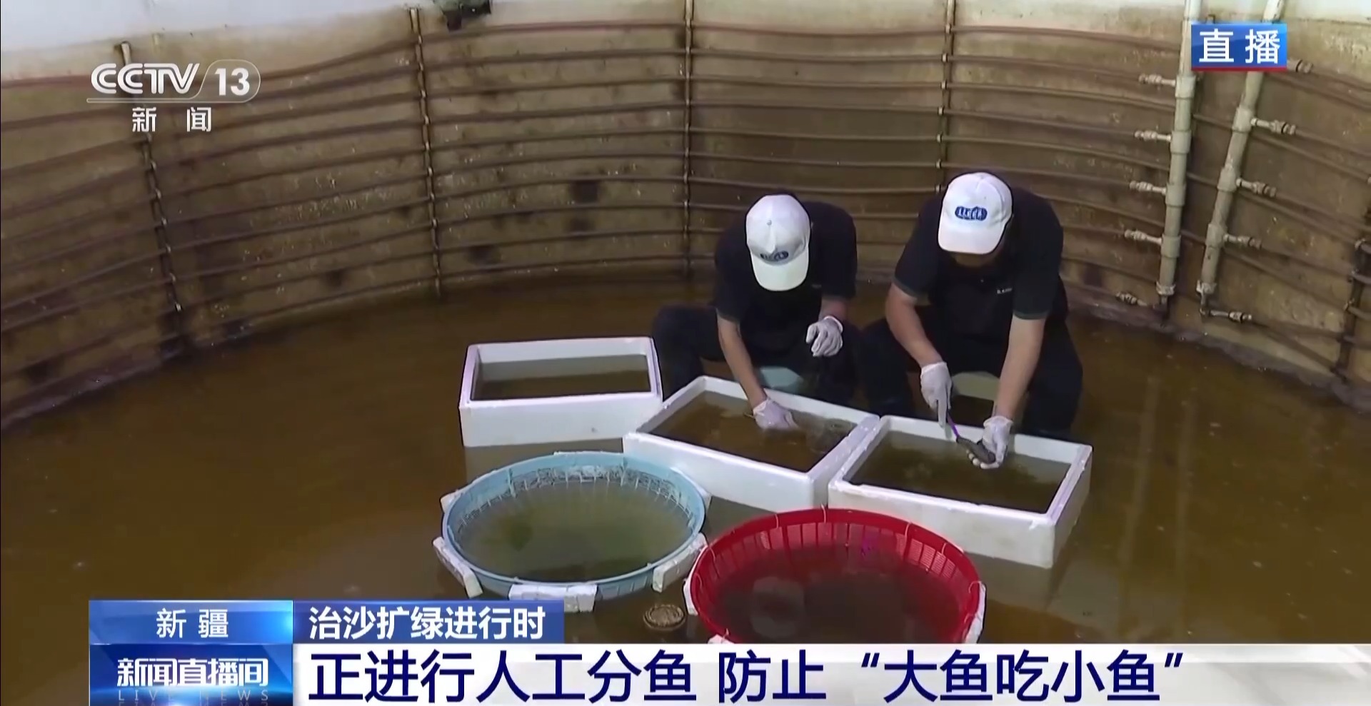 
南京市第一医院黄牛代挂号电话票贩子号贩子网上预约挂号,住院检查加快,视频丨沙漠里如何养海鲜？解锁塔克拉玛干沙漠的水产养殖密码