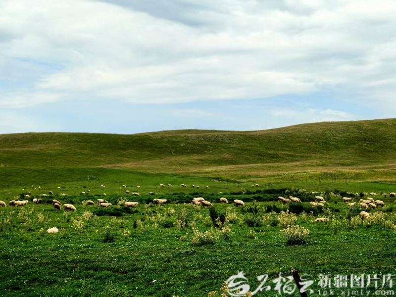 
浙江医院黄牛代挂号电话票贩子号贩子网上预约挂号,住院检查加快,祖国大家庭的温暖丨牧区转型走出双赢路