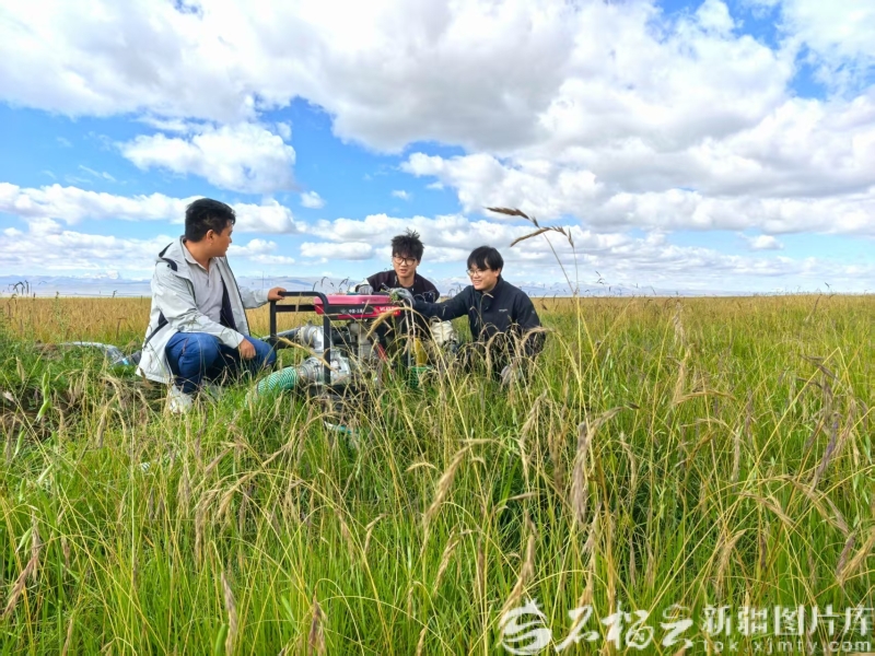 
浙江医院黄牛代挂号电话票贩子号贩子网上预约挂号,住院检查加快,祖国大家庭的温暖丨牧区转型走出双赢路