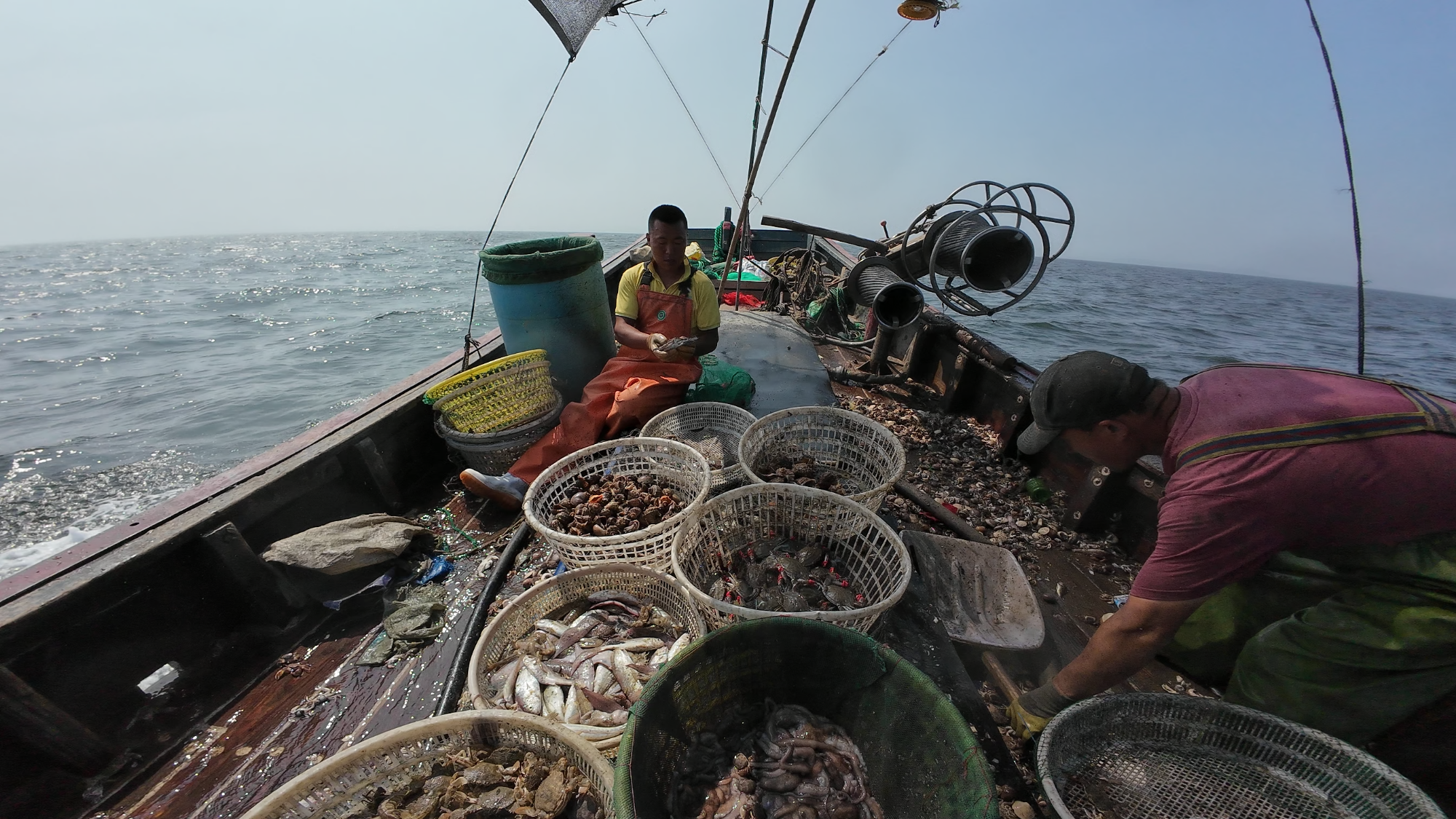 
中国人民解放军总医院黄牛代挂号电话票贩子号贩子网上预约挂号,住院检查加快,行进的海岸线 | 大鹿岛兴岛富民记：失而复得的“山不转水转”