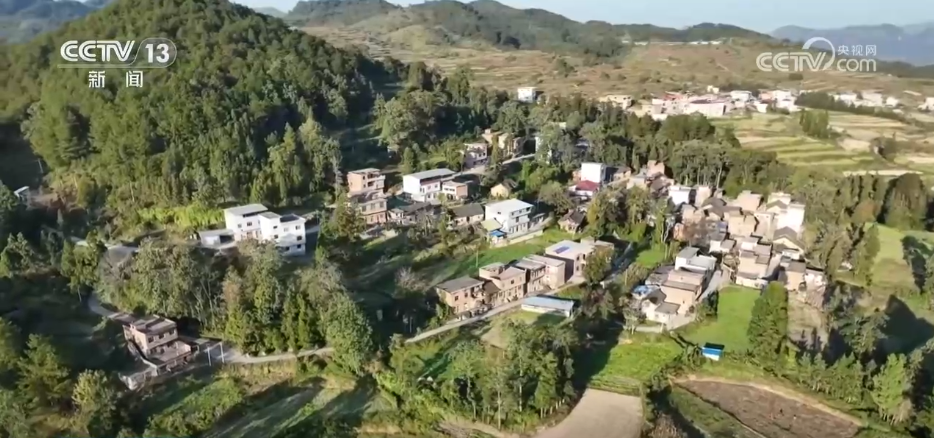 
上海儿童医院黄牛代挂号电话票贩子号贩子网上预约挂号,住院检查加快,“公交带货”激发乡村物流活力 打通快递进村“最后一公里”