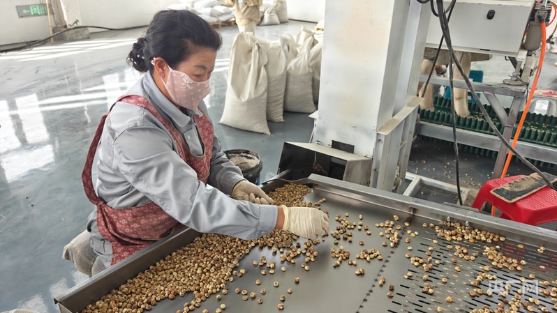 
北京世纪坛医院黄牛代挂号电话票贩子号贩子网上预约挂号,住院检查加快,新质新造·兵团丨图木舒克高质量发展步履坚实