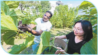 
北京大学人民医院黄牛代挂号电话票贩子号贩子网上预约挂号,住院检查加快,“让更多人看见中国的生态之美”（我和中国的故事）