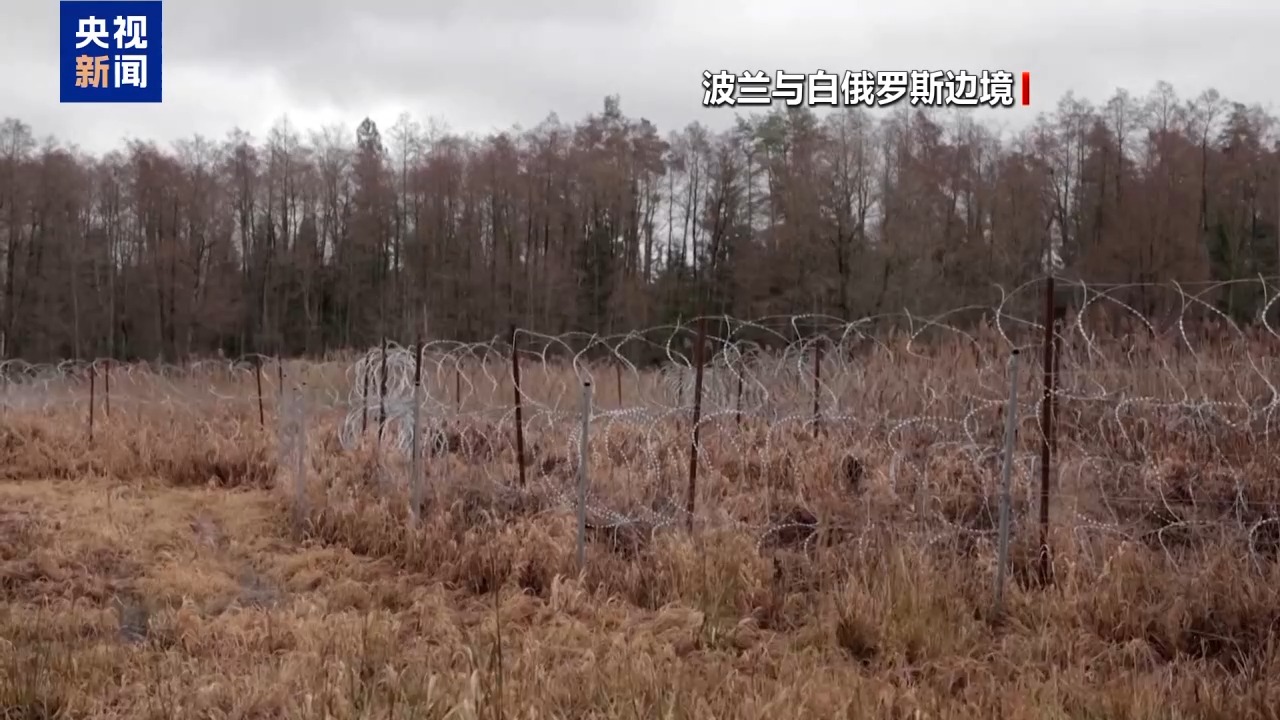 
中山大学附属第一医院黄牛号贩子票贩子代网上预约代挂号电话白俄罗斯反制波兰和立陶宛关闭与白边境