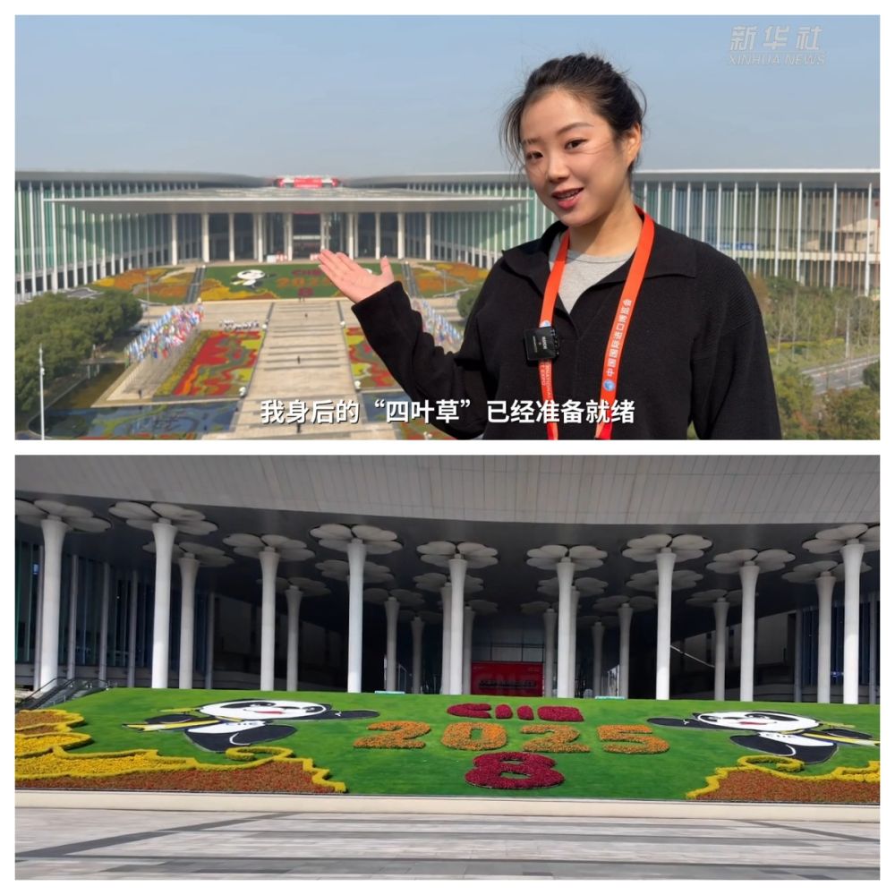 
南京市口腔医院黄牛代挂号电话票贩子号贩子网上预约挂号,住院检查加快,第八届进博会｜进博会倒计时 记者带你抢先探营“四叶草”