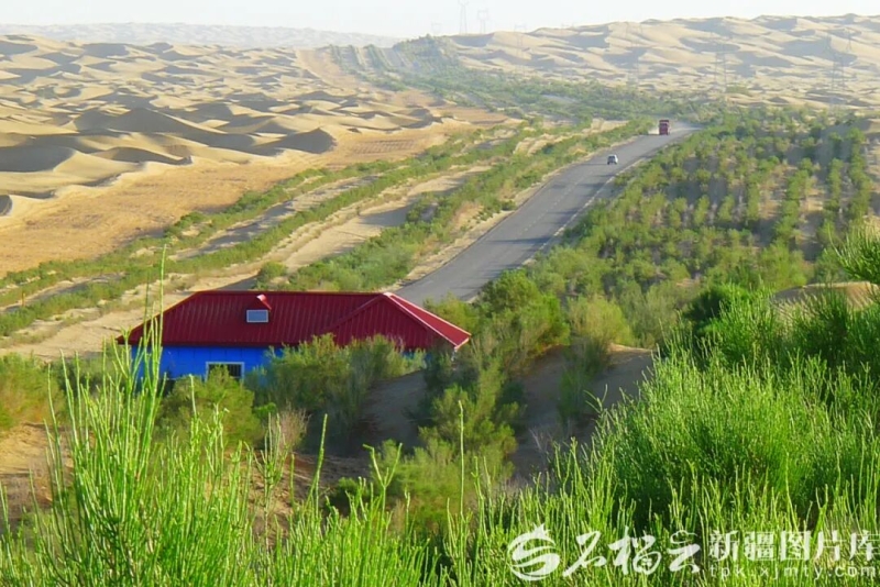 
上海各大医院黄牛代挂号电话票贩子号贩子网上预约挂号,住院检查加快,穿越死亡之海