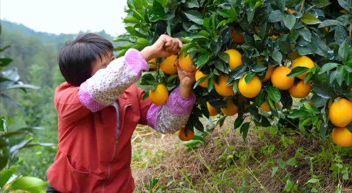 
南京脑科医院黄牛代挂号电话票贩子号贩子网上预约挂号,住院检查加快,【理响中国·薪火“燃”青春】一滴水的“增值”之旅：从绿水青山到金山银山