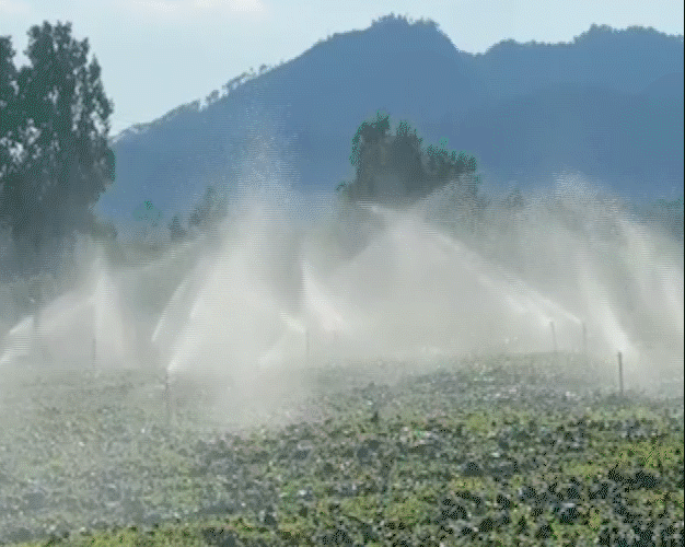 
上海肿瘤医院黄牛代挂号电话票贩子号贩子网上预约挂号,住院检查加快,全运会｜在大湾区，感知交通联通的强劲脉动