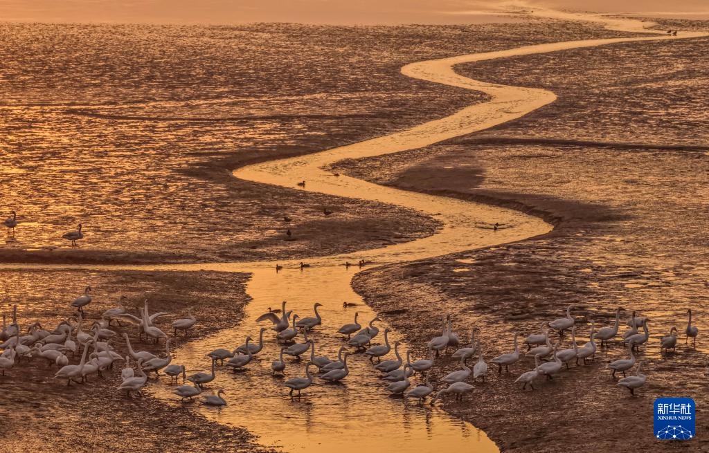 
南京金陵医院黄牛代挂号电话票贩子号贩子网上预约挂号,住院检查加快,立冬将至 秋韵未央