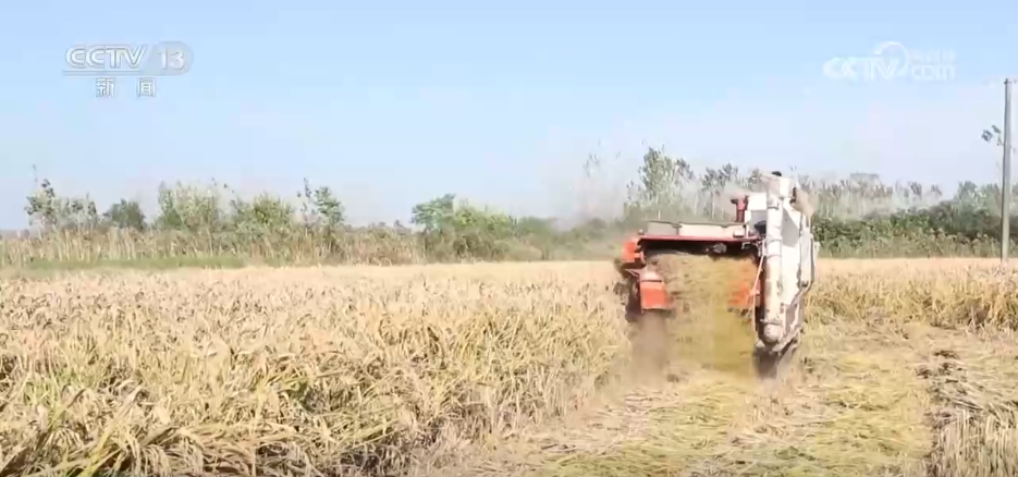 
长春吉大一院黄牛代挂号电话票贩子号贩子网上预约挂号,住院检查加快,“农机+农技”助力秋收秋种 特色种养殖变身增收致富“金钥匙”