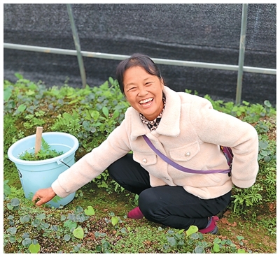 
江苏省人民医院黄牛号贩子票贩子代网上预约代挂号电话在大山里“种”出好日子