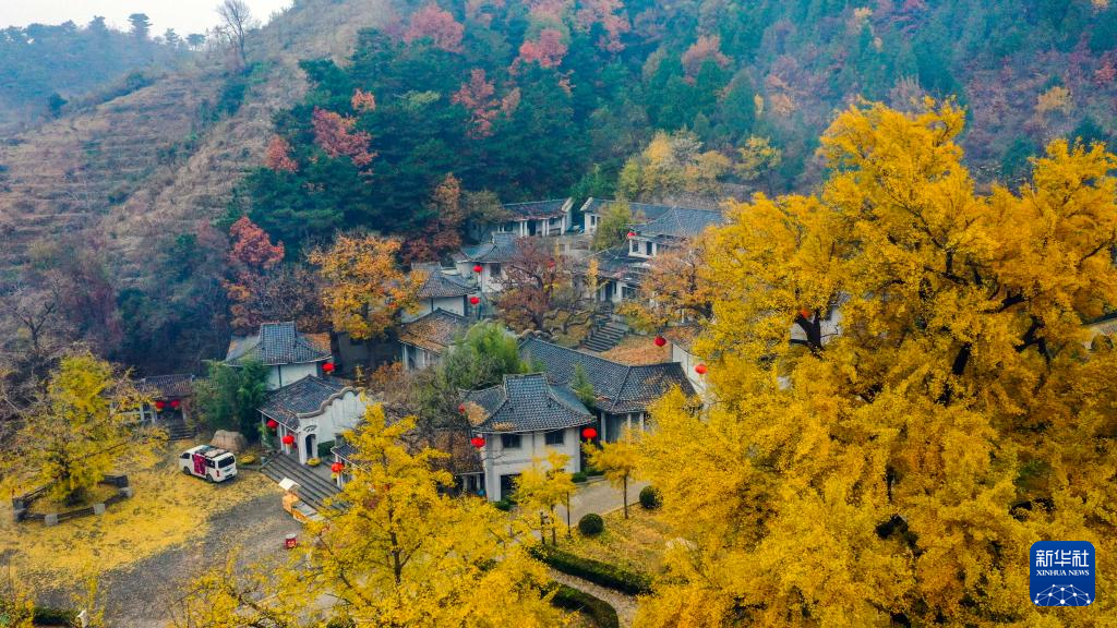 
南京金陵医院黄牛代挂号电话票贩子号贩子网上预约挂号,住院检查加快,立冬将至 秋韵未央