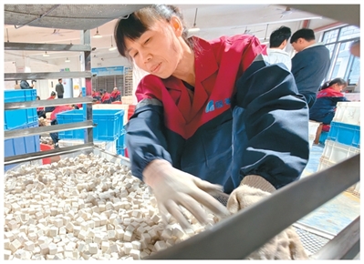 
江苏省人民医院黄牛号贩子票贩子代网上预约代挂号电话在大山里“种”出好日子