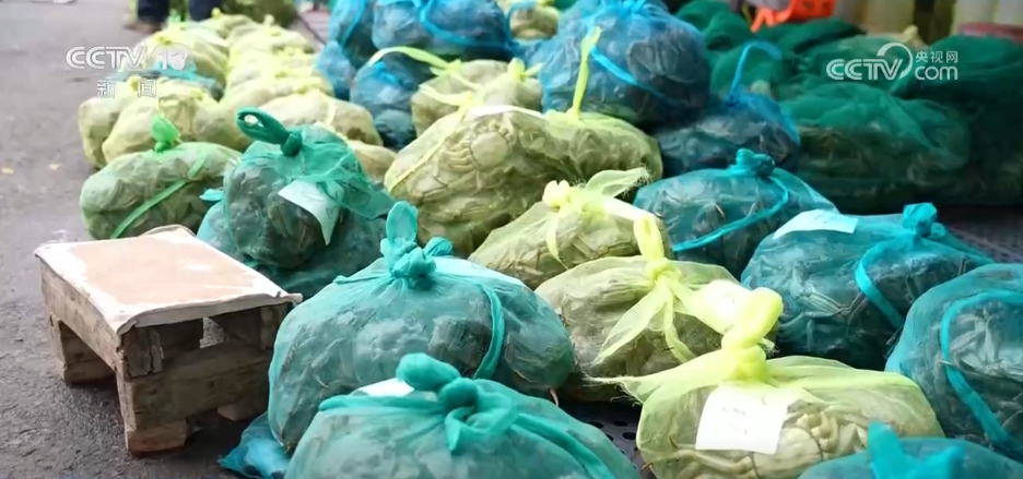 
长春吉大一院黄牛代挂号电话票贩子号贩子网上预约挂号,住院检查加快,“农机+农技”助力秋收秋种 特色种养殖变身增收致富“金钥匙”