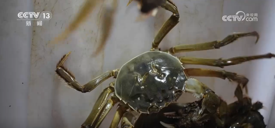 
长春吉大一院黄牛代挂号电话票贩子号贩子网上预约挂号,住院检查加快,“农机+农技”助力秋收秋种 特色种养殖变身增收致富“金钥匙”