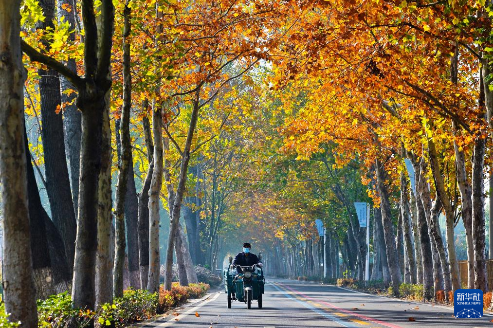 
南京金陵医院黄牛代挂号电话票贩子号贩子网上预约挂号,住院检查加快,立冬将至 秋韵未央