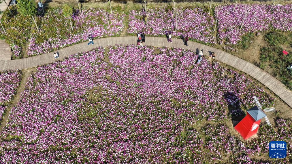 
南京金陵医院黄牛代挂号电话票贩子号贩子网上预约挂号,住院检查加快,立冬将至 秋韵未央