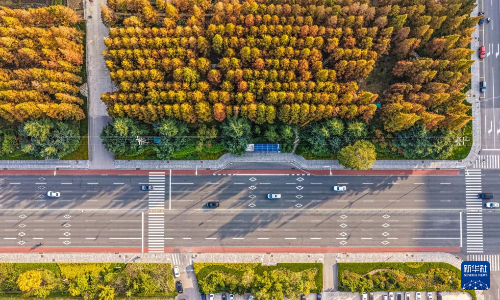 
南京金陵医院黄牛代挂号电话票贩子号贩子网上预约挂号,住院检查加快,立冬将至 秋韵未央