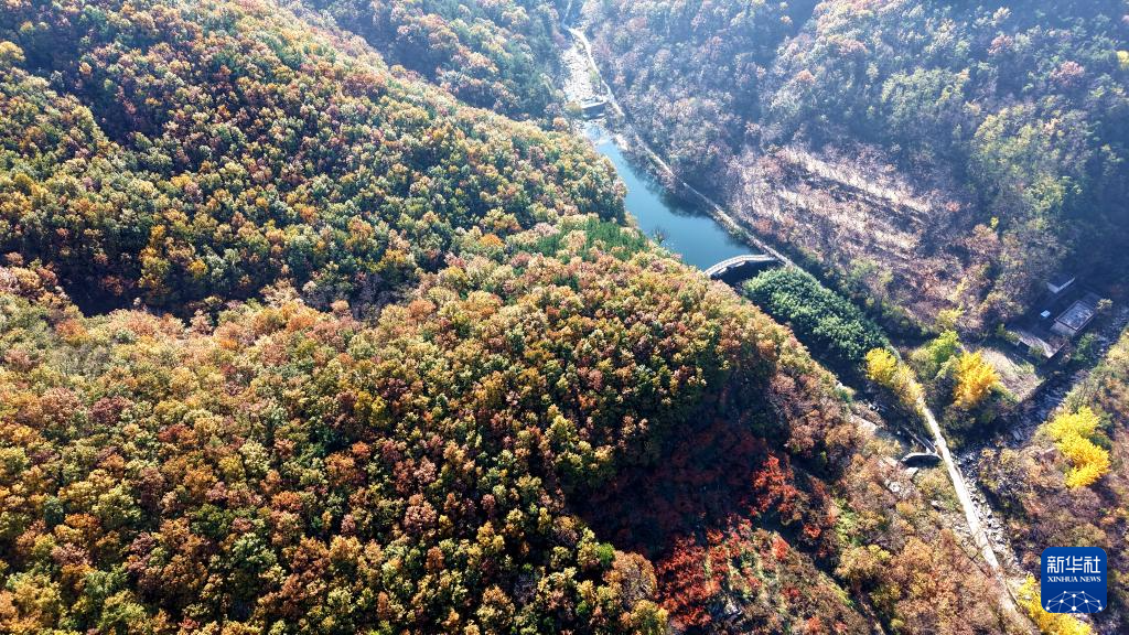 
南京金陵医院黄牛代挂号电话票贩子号贩子网上预约挂号,住院检查加快,立冬将至 秋韵未央