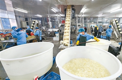 
江苏省人民医院黄牛号贩子票贩子代网上预约代挂号电话在大山里“种”出好日子