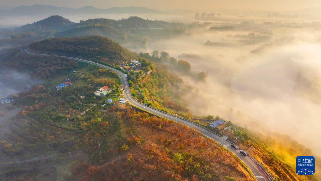 
南京金陵医院黄牛代挂号电话票贩子号贩子网上预约挂号,住院检查加快,立冬将至 秋韵未央