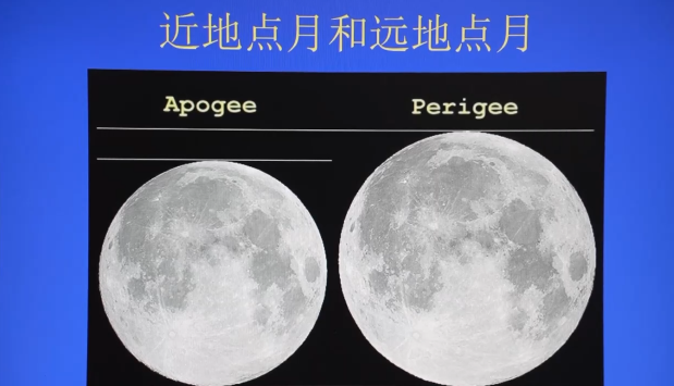 
空军特色医学中心陈瑞萍李强陈杰黄牛挂号电话年度最大“超级月亮”来了！今晚记得抬头看