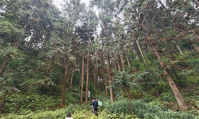 
江苏省人民医院黄牛号贩子票贩子代网上预约代挂号电话在大山里“种”出好日子