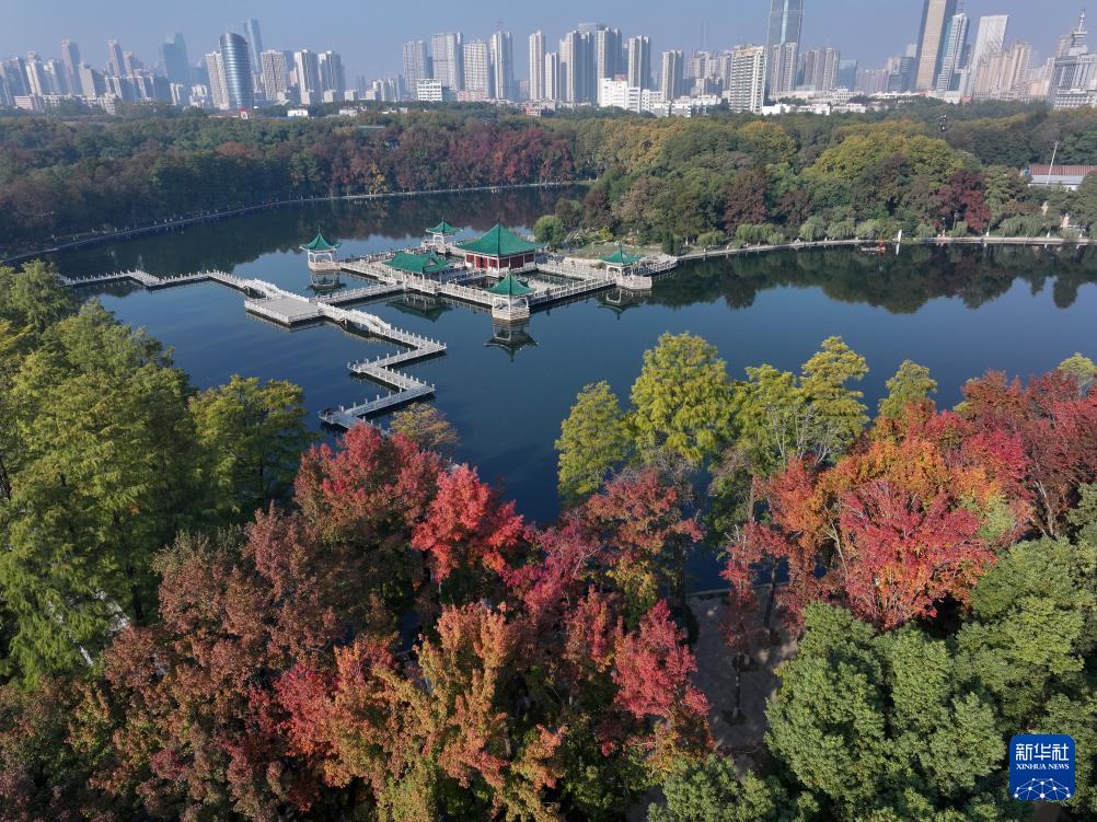 
南京金陵医院黄牛代挂号电话票贩子号贩子网上预约挂号,住院检查加快,立冬将至 秋韵未央