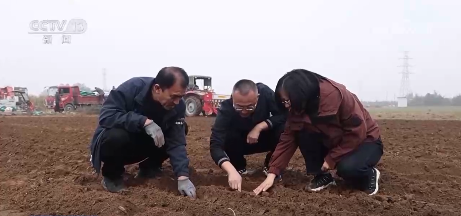 
长春吉大一院黄牛代挂号电话票贩子号贩子网上预约挂号,住院检查加快,“农机+农技”助力秋收秋种 特色种养殖变身增收致富“金钥匙”