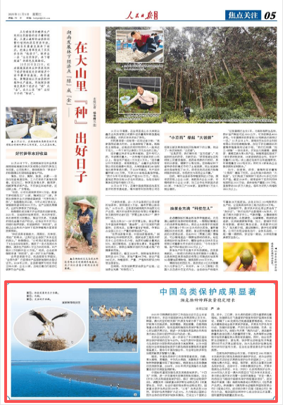 
中国医学科学院阜外医院田涛吕思琪李林林胡晓鹏黄牛挂号电话中国鸟类保护成果显著