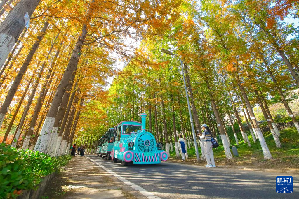 
南京金陵医院黄牛代挂号电话票贩子号贩子网上预约挂号,住院检查加快,立冬将至 秋韵未央