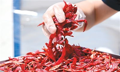 
广州医科大学附属口腔医院黄牛号贩子票贩子代网上预约代挂号电话“从手提箱到集装箱，订单规模一路涨”（进博连线）