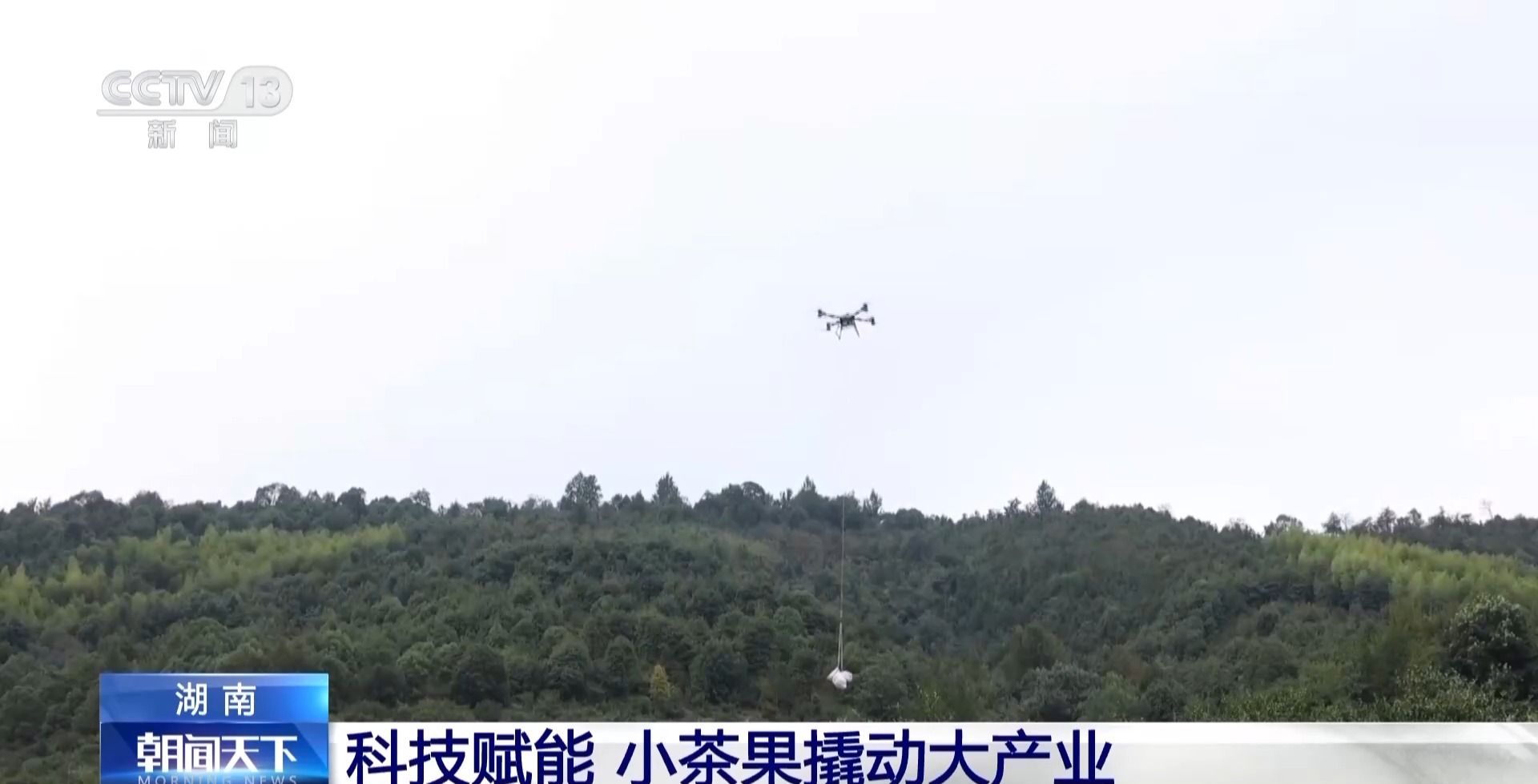 
南京脑科医院黄牛代挂号电话票贩子号贩子网上预约挂号,住院检查加快,浑身是宝！一颗油茶果如何“榨”出近千亿绿色产值？