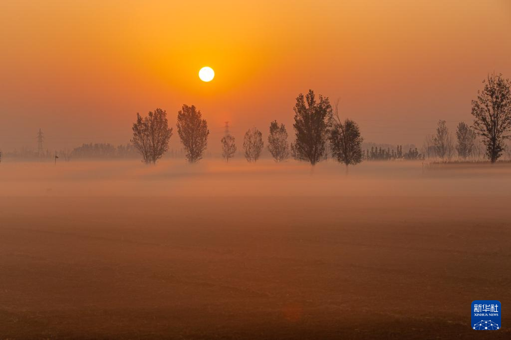 
南京金陵医院黄牛代挂号电话票贩子号贩子网上预约挂号,住院检查加快,立冬将至 秋韵未央
