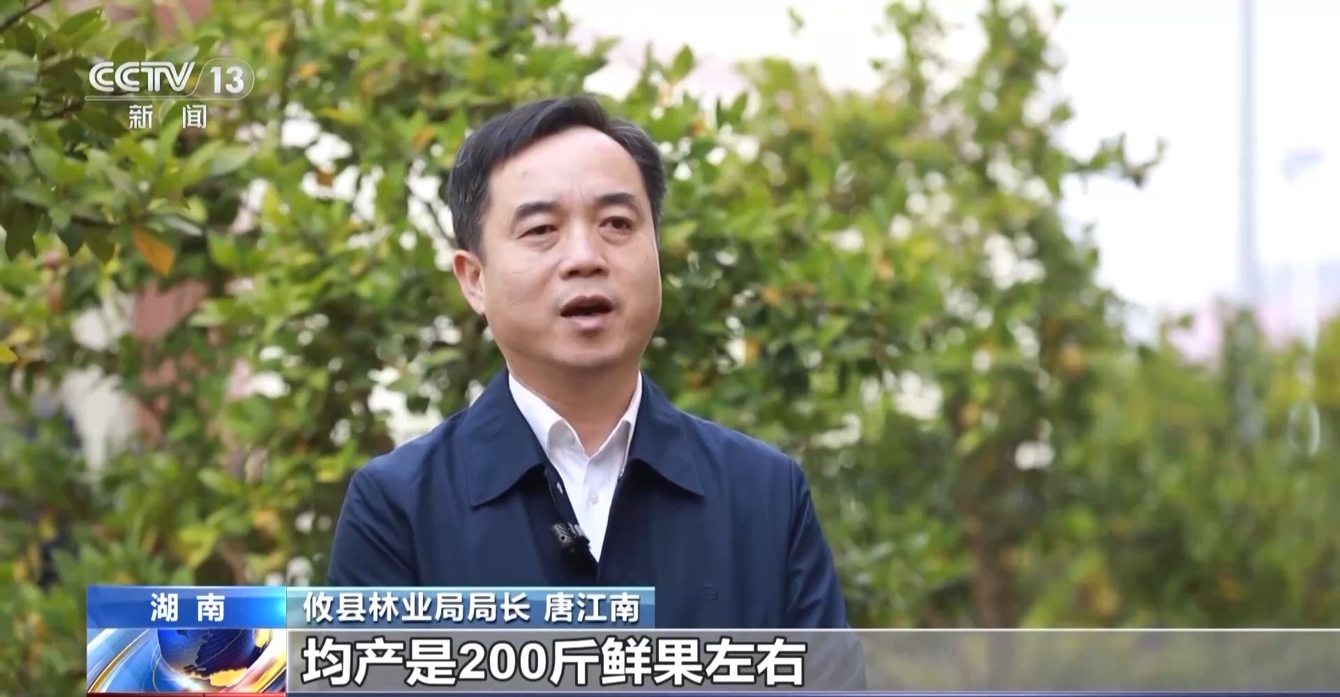 
南京脑科医院黄牛代挂号电话票贩子号贩子网上预约挂号,住院检查加快,浑身是宝！一颗油茶果如何“榨”出近千亿绿色产值？