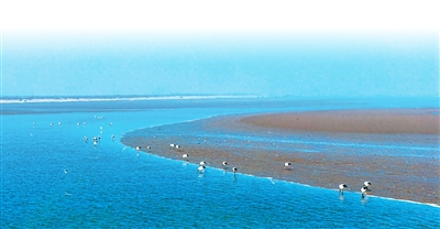 
中国医学科学院阜外医院田涛吕思琪李林林胡晓鹏黄牛挂号电话中国鸟类保护成果显著