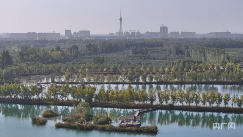 
上海儿科医院黄牛代挂号电话票贩子号贩子网上预约挂号,住院检查加快,【人民城市·温情中国】边疆“绣”绿洲 文“润”细无声