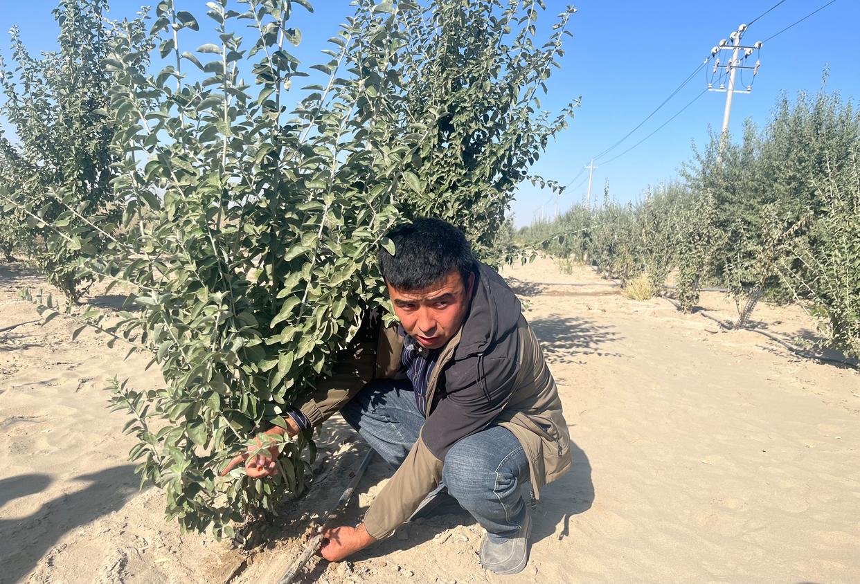 
杭州市三医院黄牛代挂号电话票贩子号贩子网上预约挂号,住院检查加快,变沙为“金” “科技+产业”赋能塔克拉玛干沙漠治沙模式升级