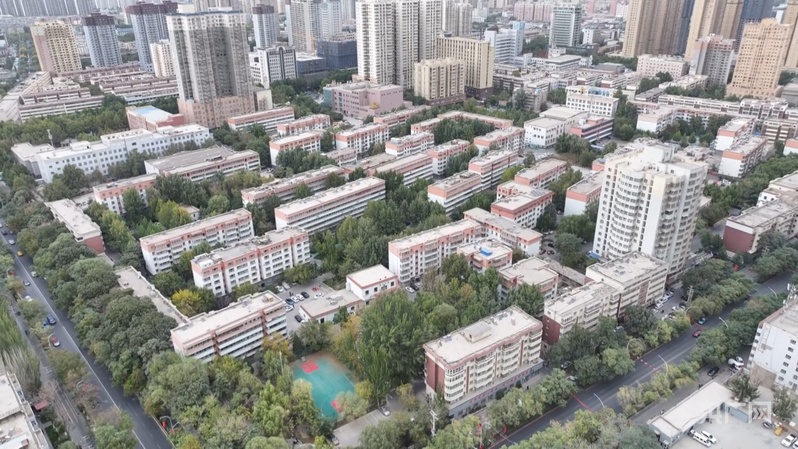 
上海儿科医院黄牛代挂号电话票贩子号贩子网上预约挂号,住院检查加快,【人民城市·温情中国】边疆“绣”绿洲 文“润”细无声