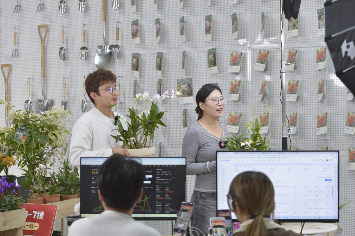 
北京儿研所黄牛代挂号电话票贩子号贩子网上预约挂号,住院检查加快,四中全会精神在基层|建起棒球场，组团种花卉——浙江嘉兴村庄走出抱团发展共富路