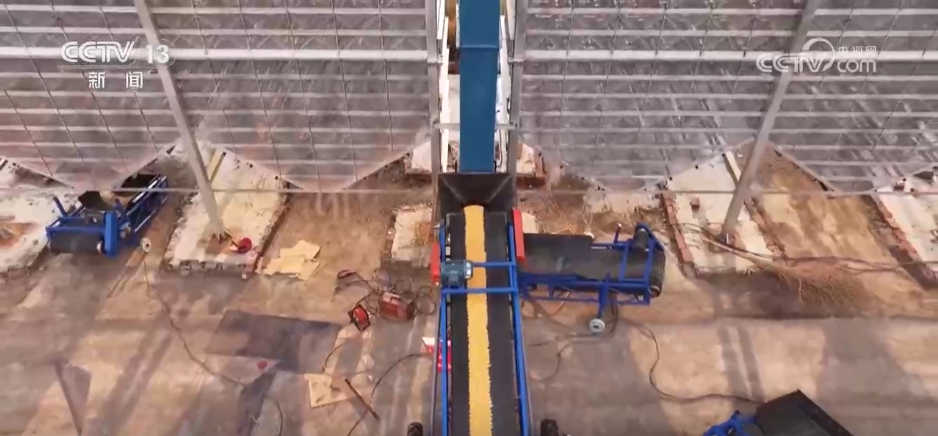 上海儿童医学中心黄牛代挂号电话票贩子号贩子网上预约挂号,住院检查加快,秋收一线观察 | 告别“地趴粮” 住进“好房子” 各地秋粮收储有“粮”方