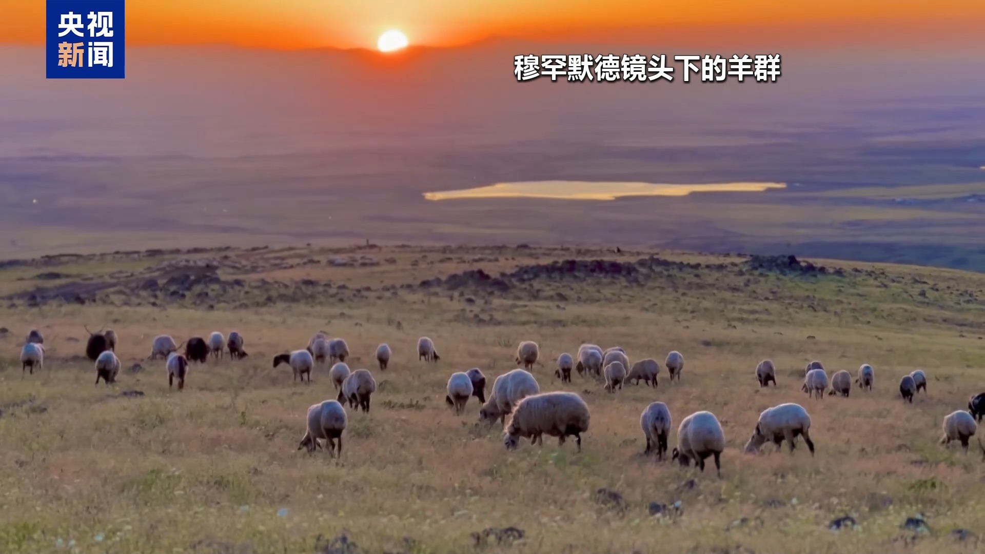 
重庆医科大学附属医院黄帅邱春玲李凡郑科罗玩元尹志康朱江王晓强冯金洲夏海坚张学东黄牛挂号电话总台记者观察丨高收入岗位无人问津 土耳其遭遇“牧羊人危机”