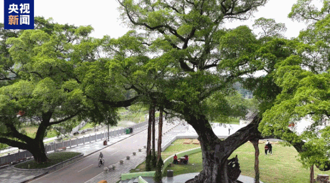 成都华西医院黄牛代挂号电话票贩子号贩子网上预约挂号,住院检查加快,逛一逛动一动,全运来广东!跟着赛事开启一场运动漫游