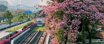 西安各大医院黄牛代挂号电话票贩子号贩子网上预约挂号,住院检查加快,跟着总书记的考察足迹|瞰广东