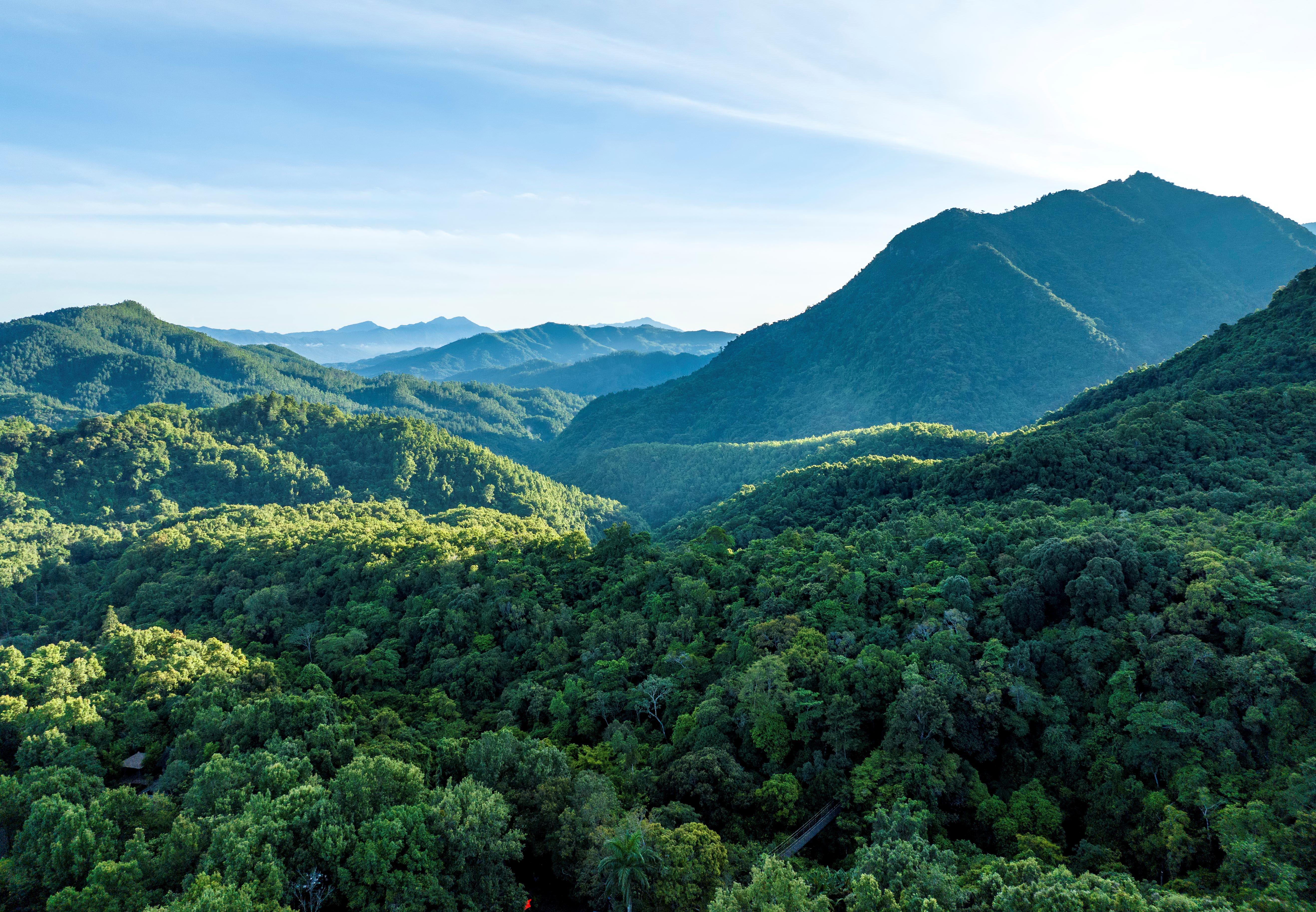 
南京各大医院黄牛代挂号电话票贩子号贩子网上预约挂号,住院检查加快,时政微观察丨建设海南自由贸易港，总书记把脉定向