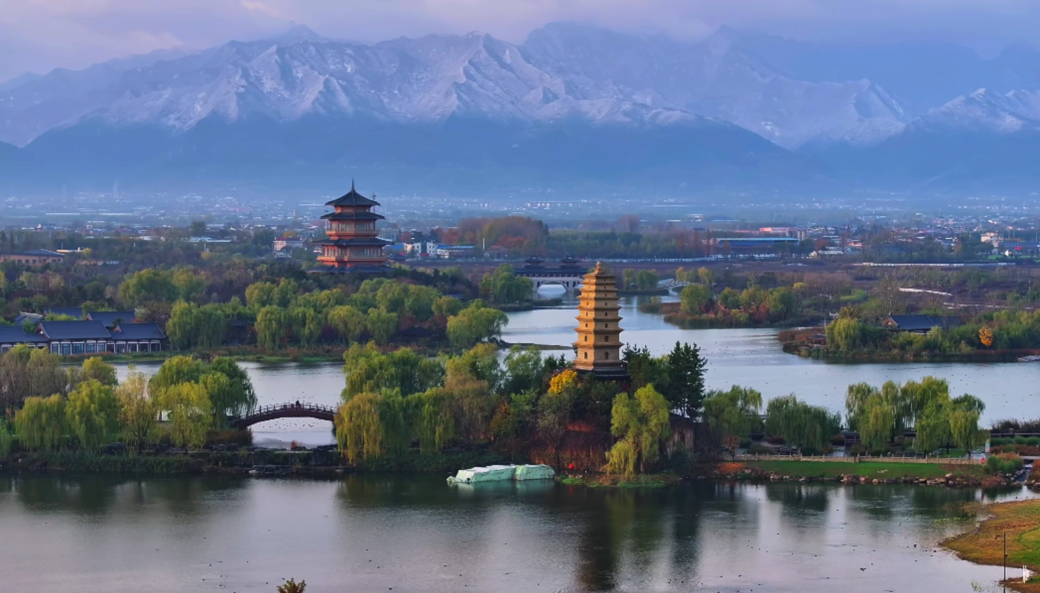 北京协和医院黄牛代挂号电话票贩子号贩子网上预约挂号,住院检查加快,微视频丨长安吟咏·我的邻居是大唐诗人