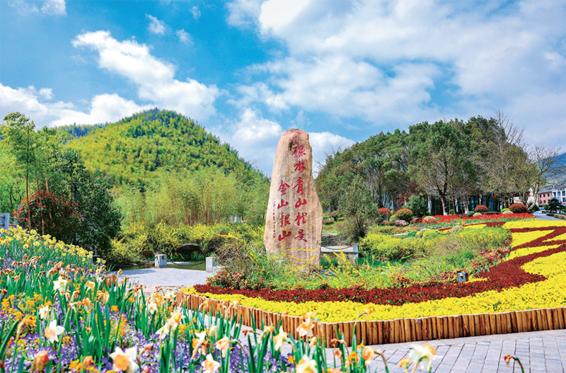 
北京中日友好医院黄牛代挂号电话票贩子号贩子网上预约挂号,住院检查加快,深度调研 | 余村调查
