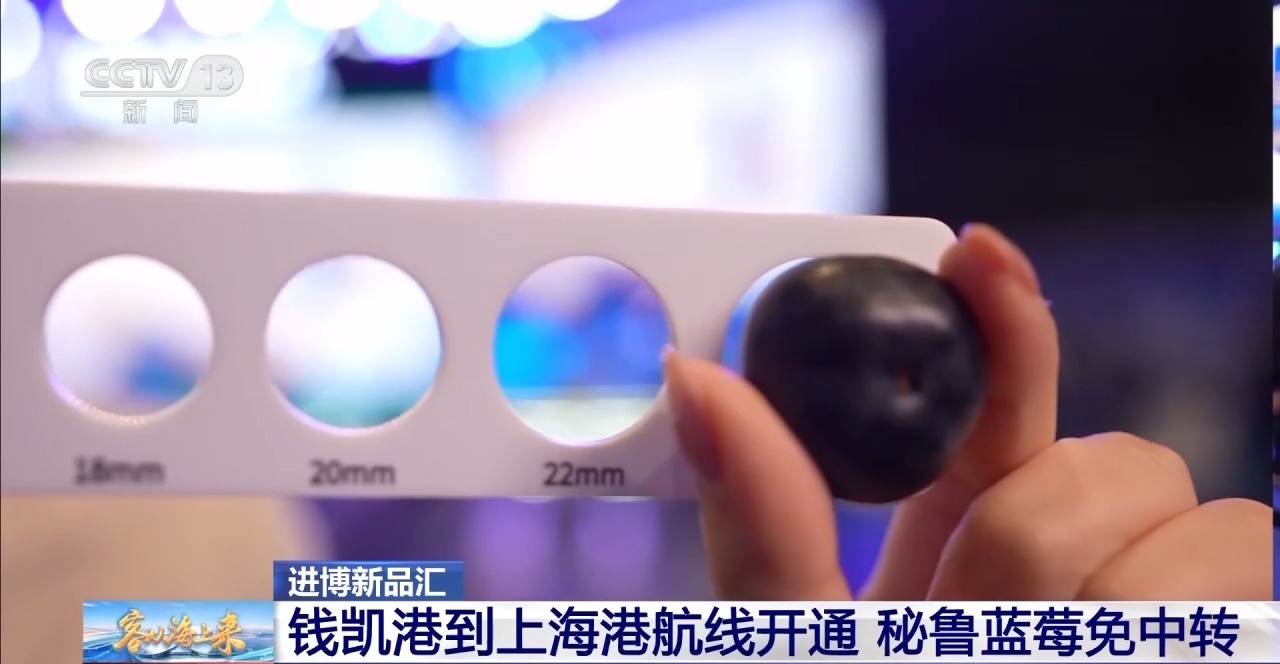 
回龙观医院黄牛代挂号电话票贩子号贩子网上预约挂号,住院检查加快,视频丨跨越17000公里 秘鲁蓝莓新鲜直达进博会