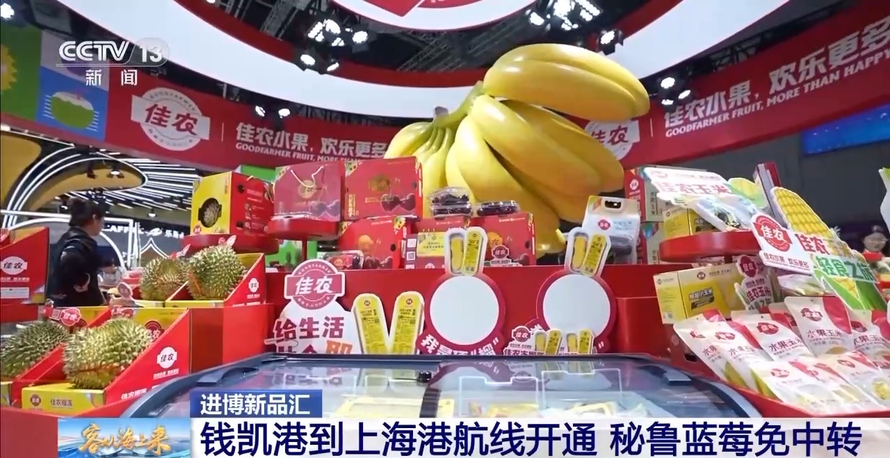 
回龙观医院黄牛代挂号电话票贩子号贩子网上预约挂号,住院检查加快,视频丨跨越17000公里 秘鲁蓝莓新鲜直达进博会